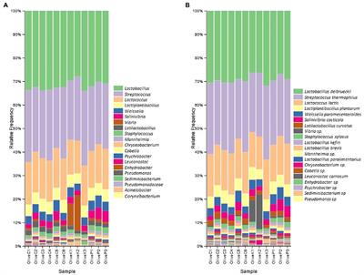 Fermented table olives from Cyprus: Microbiota profile of three varieties from different regions through metabarcoding sequencing